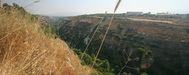 2006-06-30_0581_kfarqahel