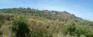 Pano_11_g