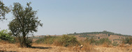 Pano_1_g